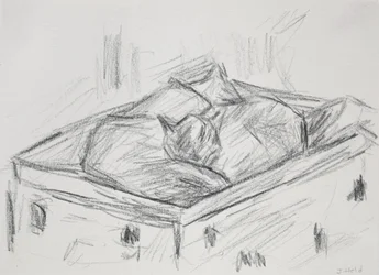 Cats Nestling, 2015 (blyant)