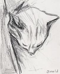 Sovende katt, 2015, (blyant)