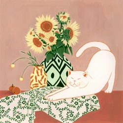 Happy Cat-solsikker