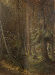 Skog