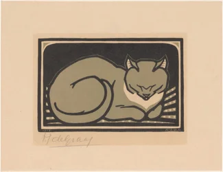 sovende katt