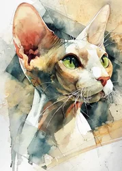 Sphynx-katt med grønne øyne