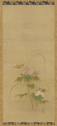 Hibiscus del av et sett, Edo-periode, midten av 1600- og begynnelsen av 1700-tallet.