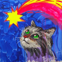 Den nysgjerrige katten ser på stjernene
