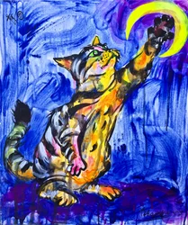 Den lekne katten Moon