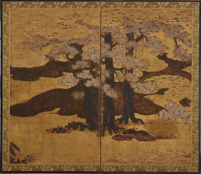 Blomstrende kirsebærtrær, Edo-perioden, ca.1580-1635.