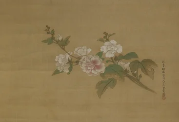 En gren av blomstrende hibiskus, Edo-perioden (farge på silke)