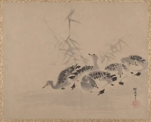 Ender og siv, ca. 1650.