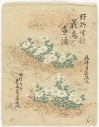 Indeks Blomster- og fugleskisser av Kano Tsunenobu (serietittel) Kano Tsunenobu kacho gafu (serietittel på objekt)