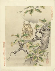 ugle på gren Blomster- og fugleskisser av Kano Tsunenobu (serietittel) Kano Tsunenobu kacho gafu (serietittel på objekt)