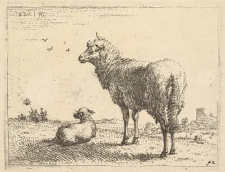 En moden sau i trekvart sett står og ser til venstre, ved siden av den ligger et lam..., ca. 1655.