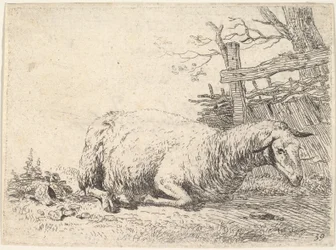 En sau som ligger med bena foldet under kroppen ved siden av et tregjerde, hun..., ca. 1655.