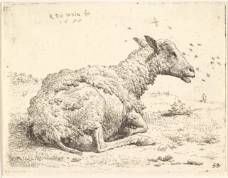 Delvis avklippede sauer som ligger i gresset med insekter svevende rundt hodet, 1655.