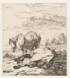 To hester Dyr (serietittel)