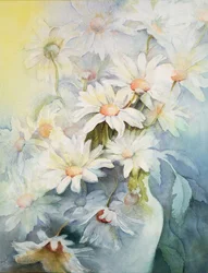 Krysantemum, snøhette