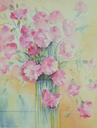 Dianthus Doris
