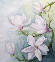 Magnolia (wc)