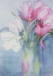 Rosa papegøye tulipaner og Marlette