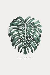 Akvarell av et Monstera-blad