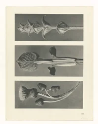 planlegge studie Archetypes of Art (serietittel)