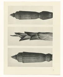 planlegge studie Archetypes of Art (serietittel)