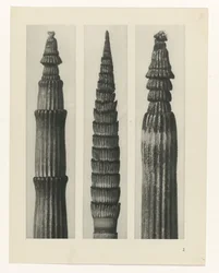 planlegge studie Archetypes of Art (serietittel)