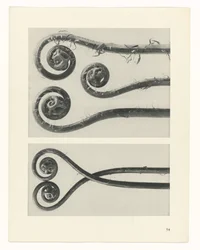 planlegge studie Archetypes of Art (serietittel)