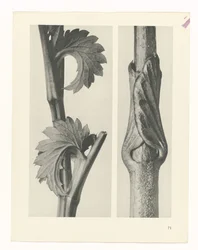 planlegge studie Archetypes of Art (serietittel)