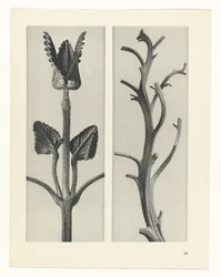 planlegge studie Archetypes of Art (serietittel)