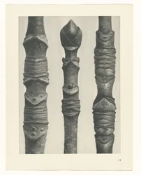 planlegge studie Archetypes of Art (serietittel)