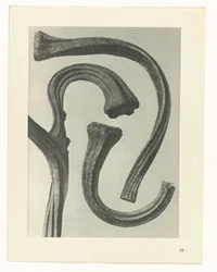 planlegge studie Archetypes of Art (serietittel)