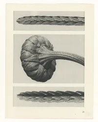 planlegge studie Archetypes of Art (serietittel)