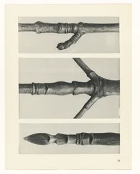 planlegge studie Archetypes of Art (serietittel)