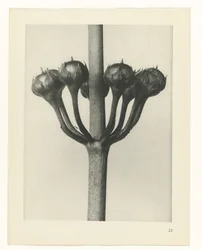 planlegge studie Archetypes of Art (serietittel)