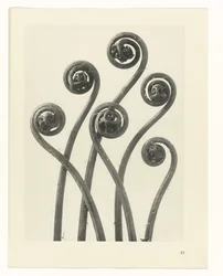 planlegge studie Archetypes of Art (serietittel)