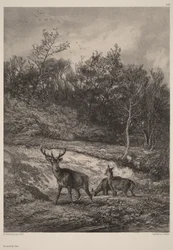 Ved vannet