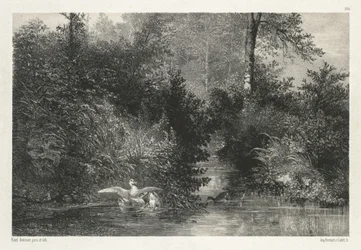 Canards (ender)