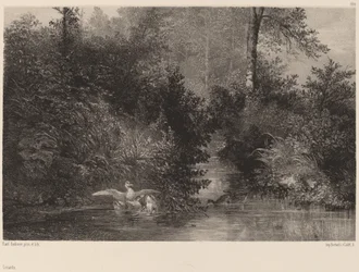 Ducks, 18611866.