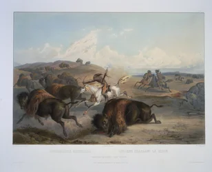Indianere som jakter på bisonen