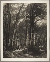 Mann i skogen
