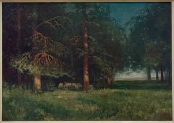 Skoglandskap med gjeter