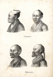 Byster av japanske menn med chonmage toppknutefrisyre, og kinesiske menn med skjegg, en med pigtail. Litografi av Karl Joseph Brodtmann fra Heinrich Rudolf Schinz