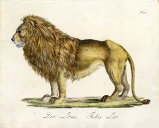 Løven (trykk)