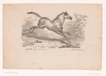 Galopperende hest i landskap Hester og ryttere (serietittel)