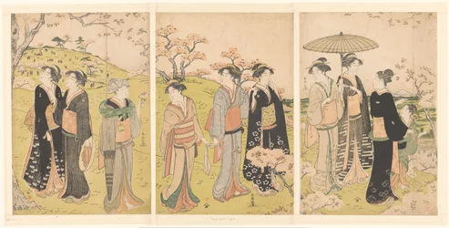 Beundre kirsebærblomstringen ved Asukayama