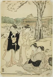Ser på Cherry Blossoms på Ueno