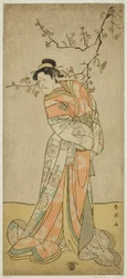 Skuespilleren Ichikawa Ebizo (Danjuro V) som hofdamen Iwafuji i stykket Gozen-gakari Sumo Soga, fremført på Kawarazaki-teatret i den første måneden, 1793 ()