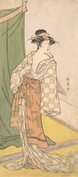 Segawa Chrysanthemum Woman Bra, ikke sant? 1785.