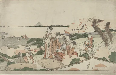 Beundre kirsebærblomstringen ved Gotenyama