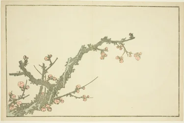 Blooming Plum Tree, fra The Picture Book of Realistic Paintings of Hokusai (Hokusai shashin gafu)